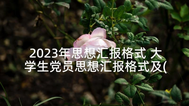 2023年思想汇报格式 大学生党员思想汇报格式及(模板8篇)