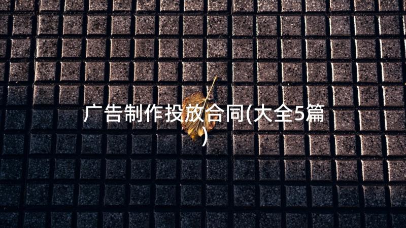 广告制作投放合同(大全5篇)