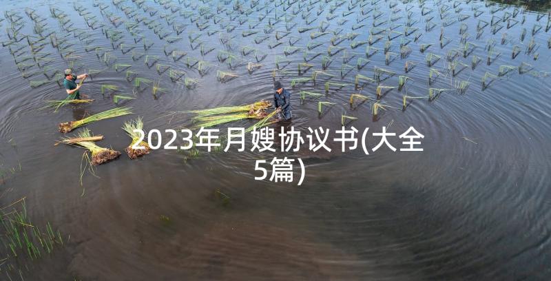 2023年月嫂协议书(大全5篇)