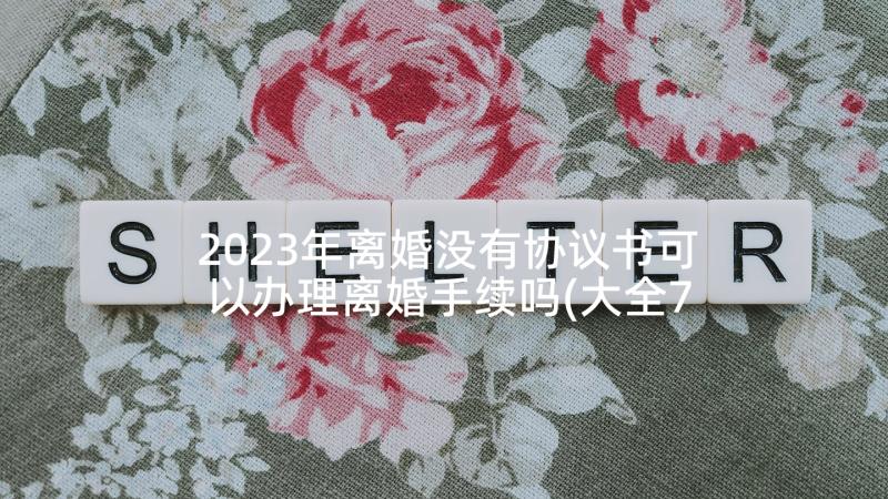 2023年离婚没有协议书可以办理离婚手续吗(大全7篇)