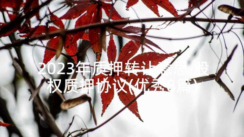 2023年质押转让意思 股权质押协议(优秀8篇)