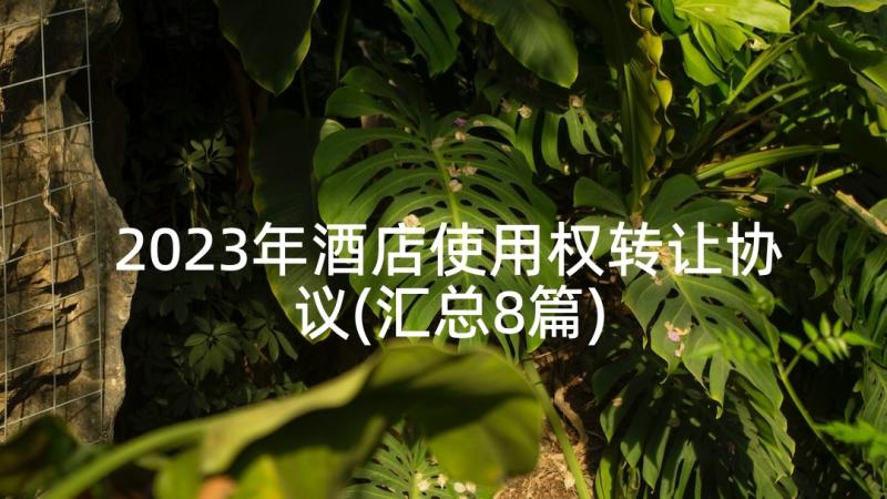 2023年酒店使用权转让协议(汇总8篇)