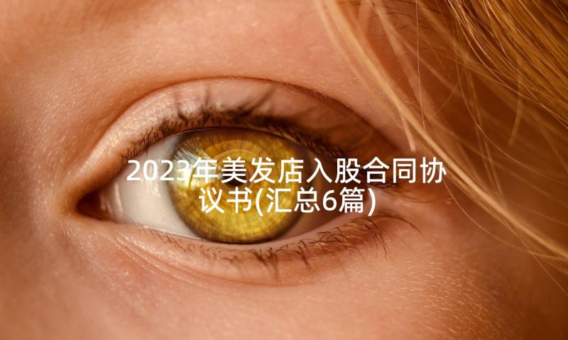 2023年美发店入股合同协议书(汇总6篇)