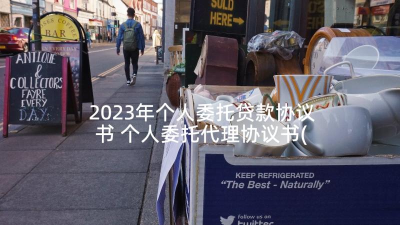 2023年个人委托贷款协议书 个人委托代理协议书(大全5篇)