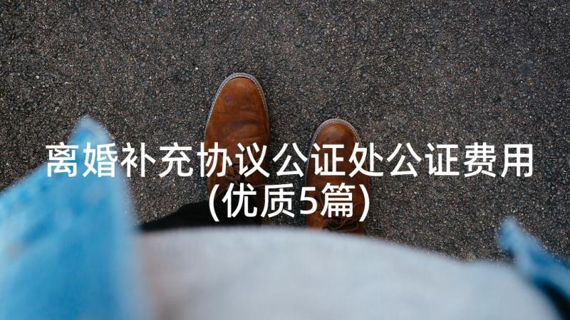 离婚补充协议公证处公证费用(优质5篇)