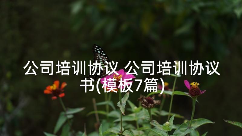 公司培训协议 公司培训协议书(模板7篇)