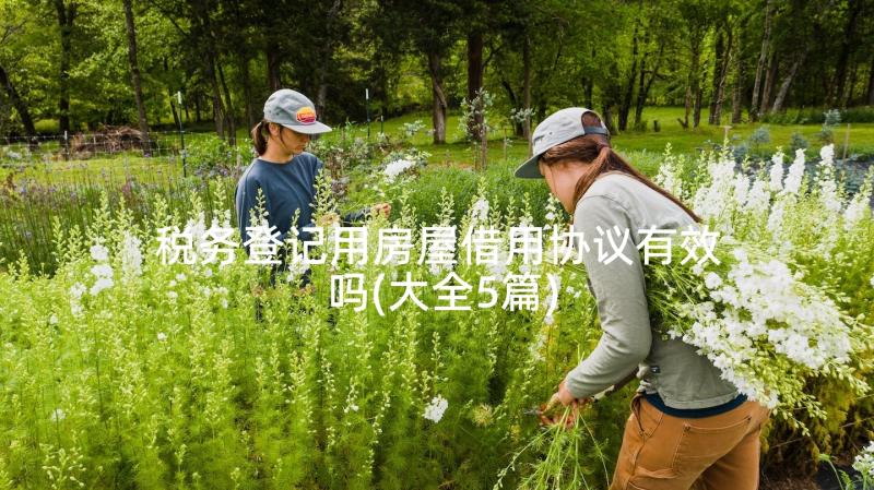 税务登记用房屋借用协议有效吗(大全5篇)