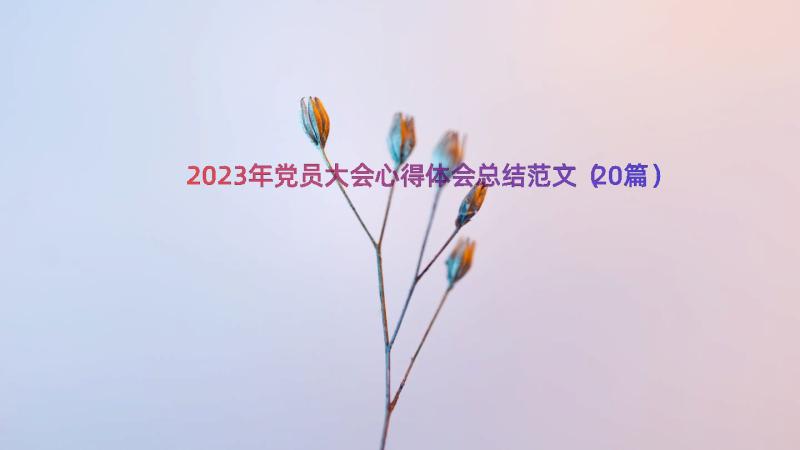 2023年党员大会心得体会总结范文（20篇）