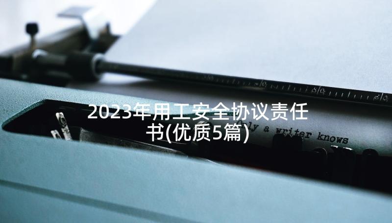 2023年用工安全协议责任书(优质5篇)