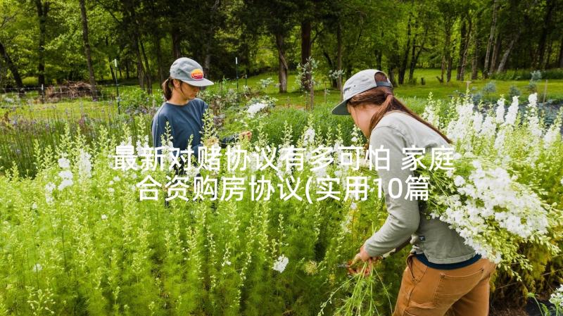 最新对赌协议有多可怕 家庭合资购房协议(实用10篇)