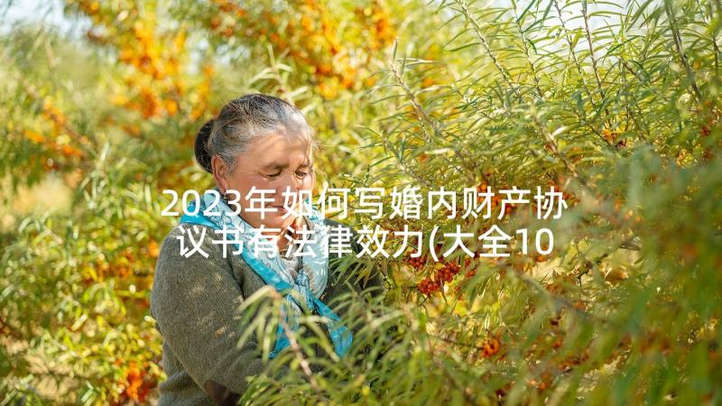 2023年如何写婚内财产协议书有法律效力(大全10篇)