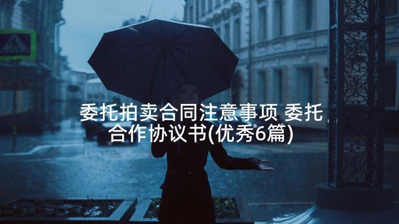 委托拍卖合同注意事项 委托合作协议书(优秀6篇)