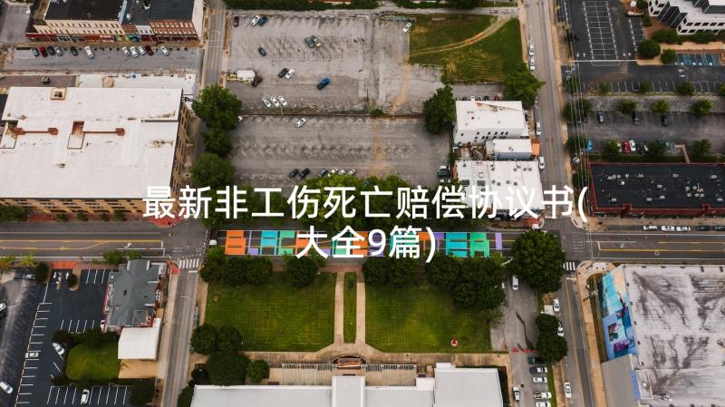 最新非工伤死亡赔偿协议书(大全9篇)