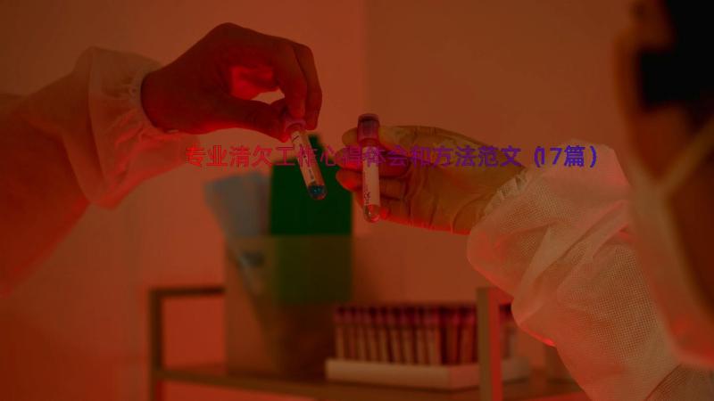 专业清欠工作心得体会和方法范文（17篇）