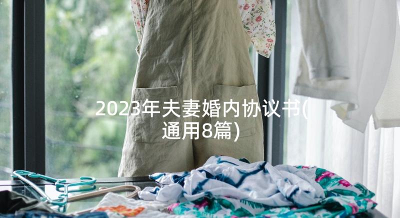 2023年夫妻婚内协议书(通用8篇)