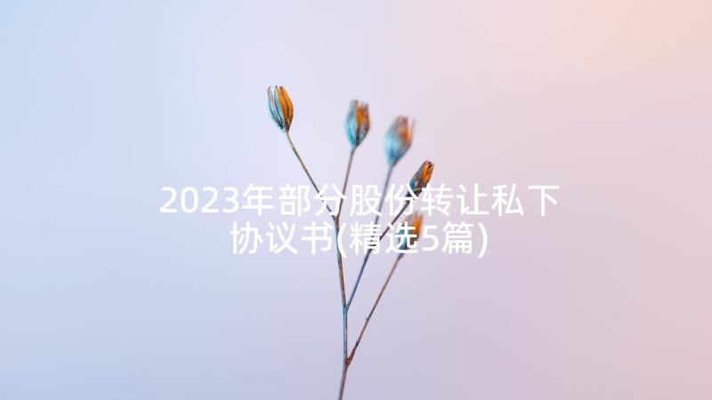 2023年部分股份转让私下协议书(精选5篇)