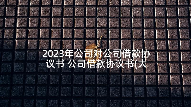 2023年公司对公司借款协议书 公司借款协议书(大全8篇)