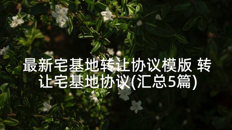 最新宅基地转让协议模版 转让宅基地协议(汇总5篇)