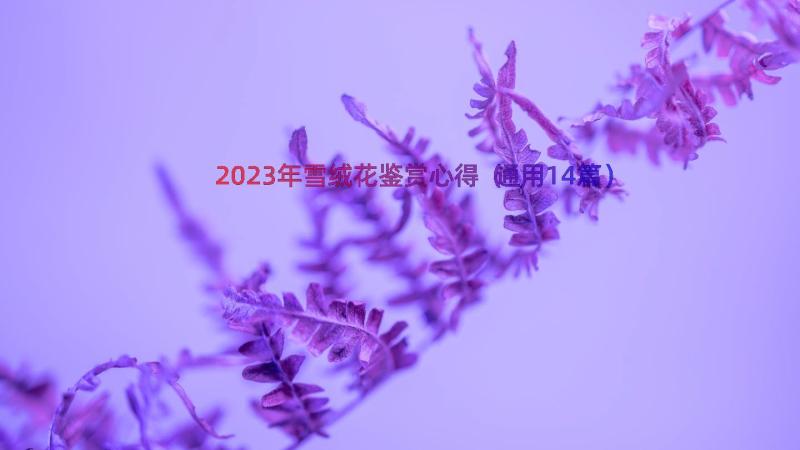 2023年雪绒花鉴赏心得（通用14篇）