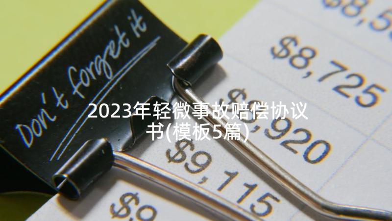 2023年轻微事故赔偿协议书(模板5篇)