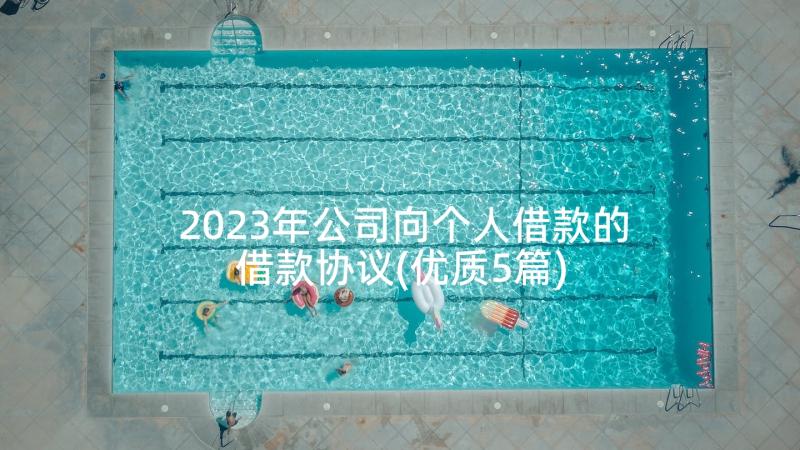 2023年公司向个人借款的借款协议(优质5篇)