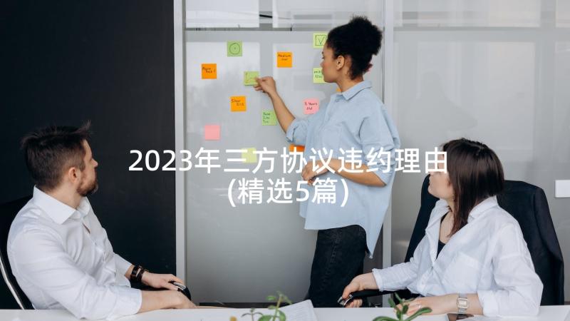 2023年三方协议违约理由(精选5篇)