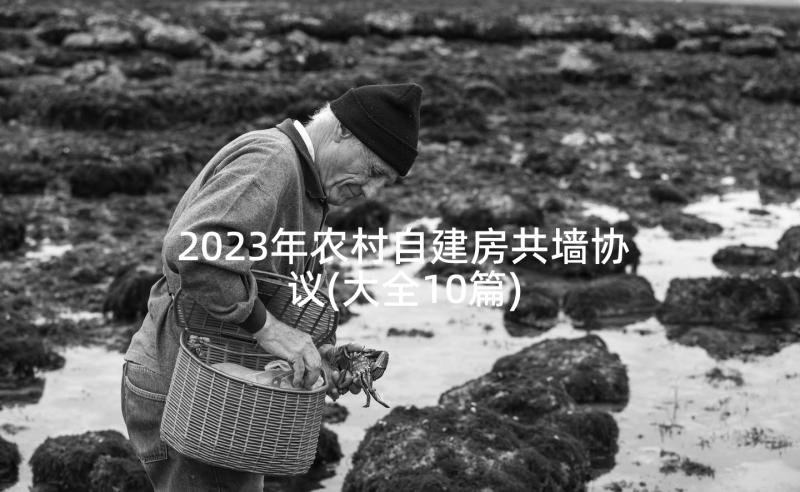 2023年农村自建房共墙协议(大全10篇)