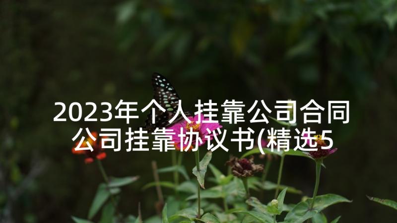 2023年个人挂靠公司合同 公司挂靠协议书(精选5篇)