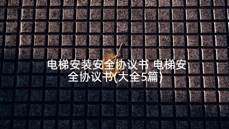 电梯安装安全协议书 电梯安全协议书(大全5篇)