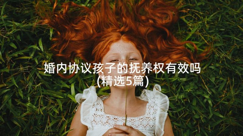 婚内协议孩子的抚养权有效吗(精选5篇)