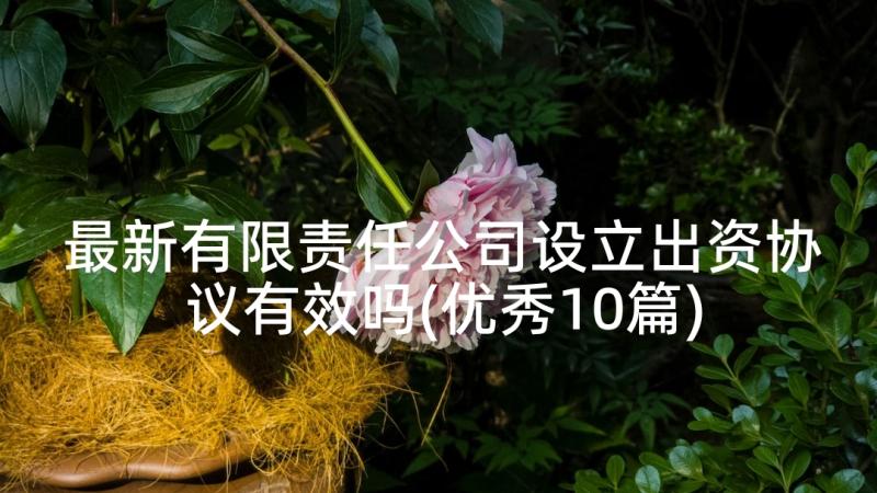 最新有限责任公司设立出资协议有效吗(优秀10篇)