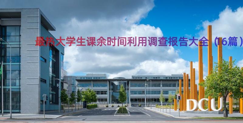 最热大学生课余时间利用调查报告大全（16篇）