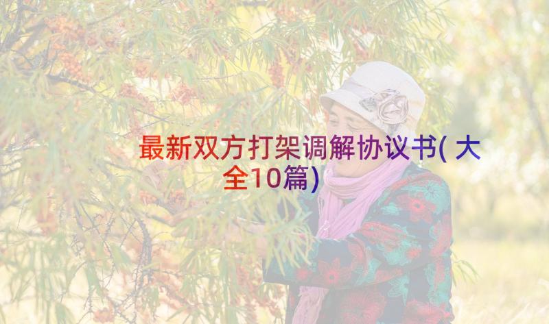 最新双方打架调解协议书(大全10篇)