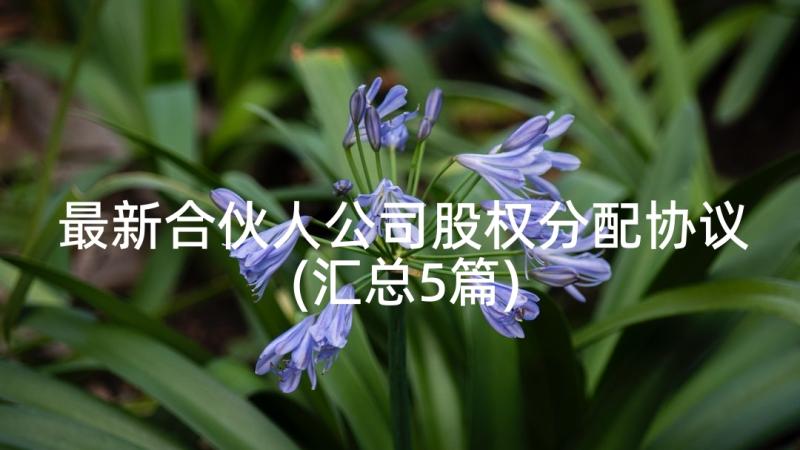 最新合伙人公司股权分配协议(汇总5篇)