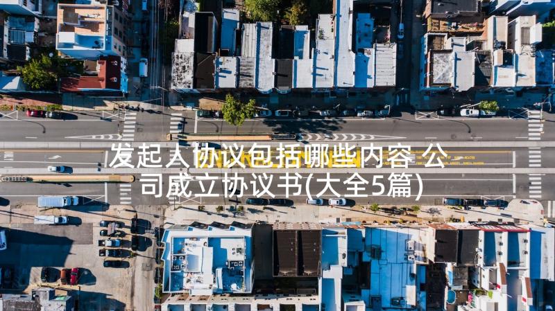 发起人协议包括哪些内容 公司成立协议书(大全5篇)