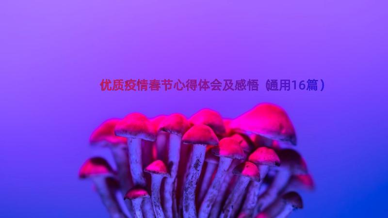 优质疫情春节心得体会及感悟（通用16篇）