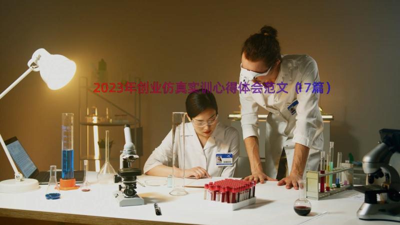 2023年创业仿真实训心得体会范文（17篇）