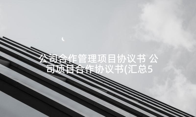 公司合作管理项目协议书 公司项目合作协议书(汇总5篇)