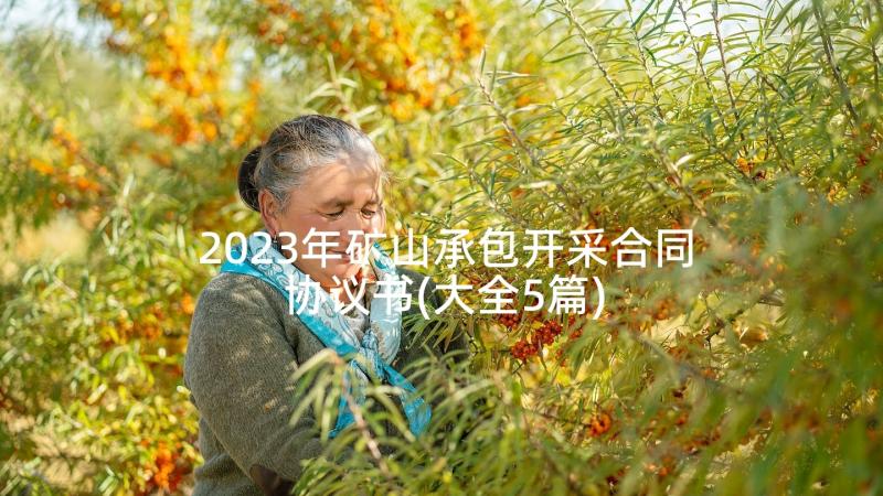 2023年矿山承包开采合同协议书(大全5篇)