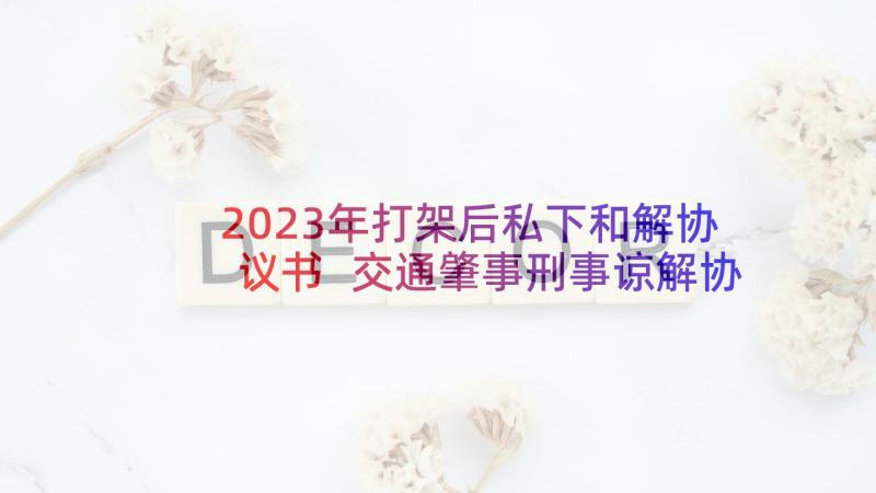 2023年打架后私下和解协议书 交通肇事刑事谅解协议书(实用8篇)