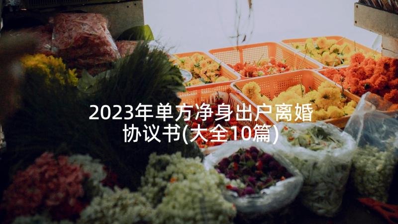 2023年单方净身出户离婚协议书(大全10篇)