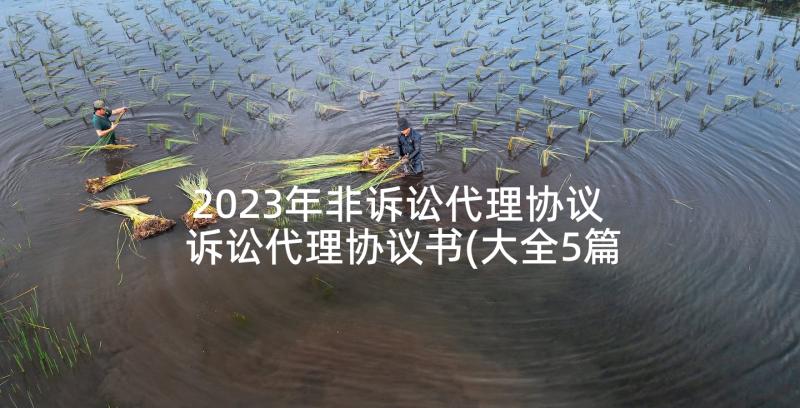 2023年非诉讼代理协议 诉讼代理协议书(大全5篇)