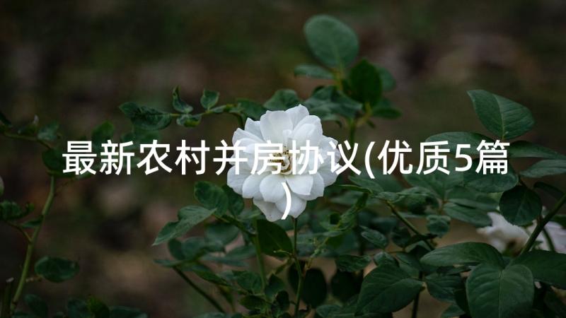 最新农村并房协议(优质5篇)