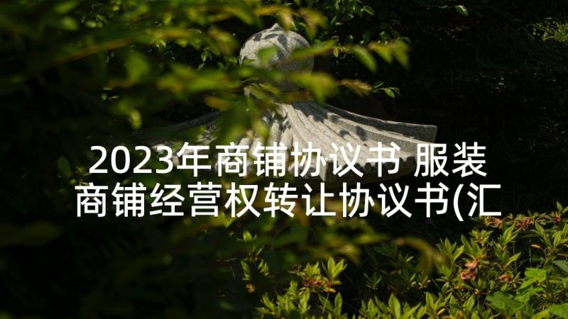 2023年商铺协议书 服装商铺经营权转让协议书(汇总5篇)