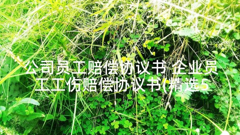 公司员工赔偿协议书 企业员工工伤赔偿协议书(精选5篇)