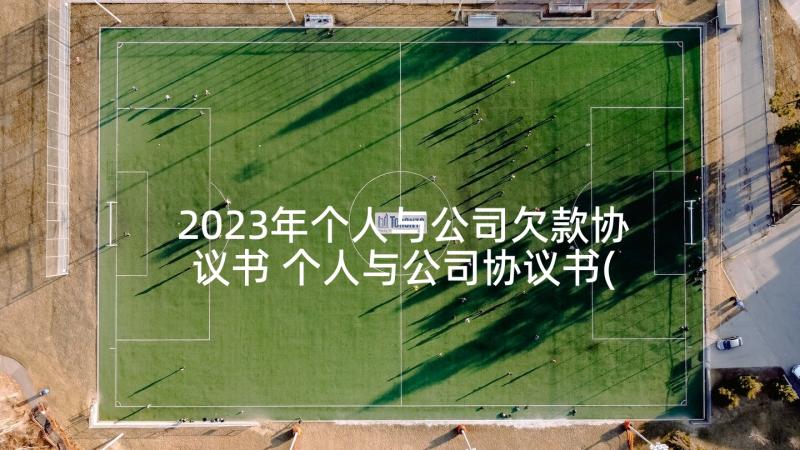 2023年个人与公司欠款协议书 个人与公司协议书(通用5篇)