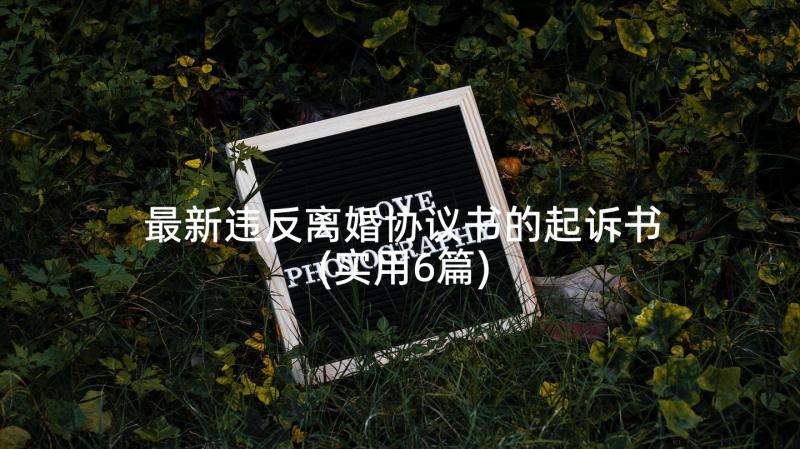 最新违反离婚协议书的起诉书(实用6篇)