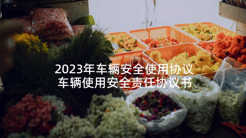 2023年车辆安全使用协议 车辆使用安全责任协议书(大全5篇)