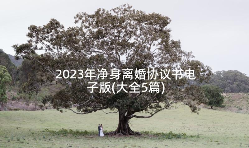 2023年净身离婚协议书电子版(大全5篇)