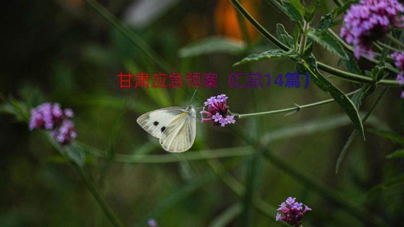 甘肃应急预案（汇总14篇）